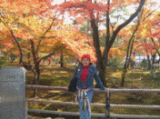 UNA EXPERIENCIA INOLVIDABLE EN EL PAÍS DEL SOL NACIENTE